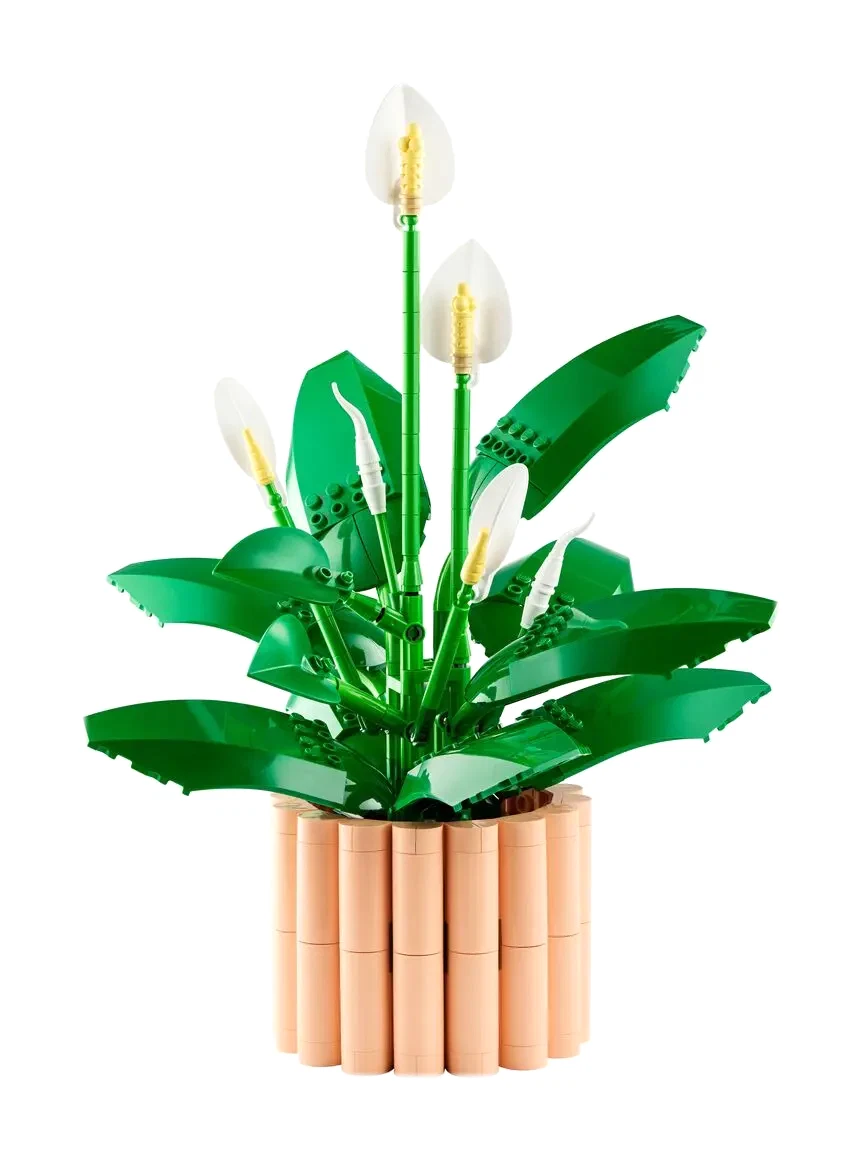LEGO® BOTANICALS 11504 - LES FLEURS DE LUNE