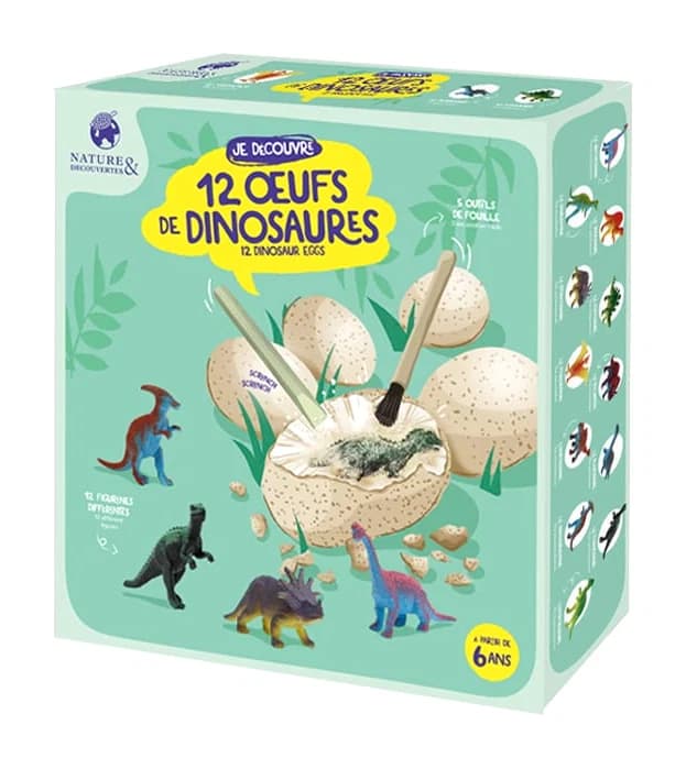 Coffret 12 œufs de dinosaures