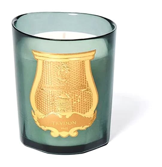 Bougie Figuerie de Trudon