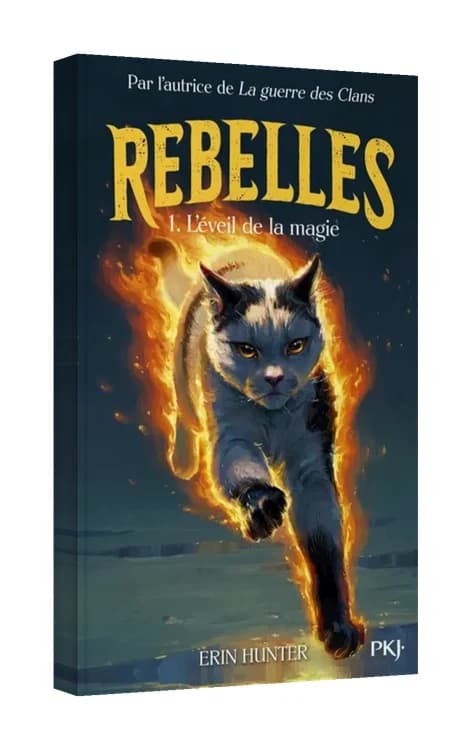 Rebelles, tome 1
